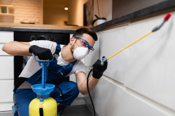 Best Pest Prevention Services  in Dora, AL