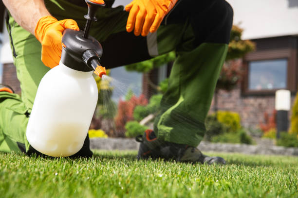 Trusted Dora, AL Pest Control Experts