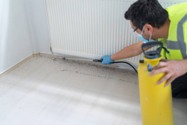 Best Best Pest Control Companies  in Dora, AL