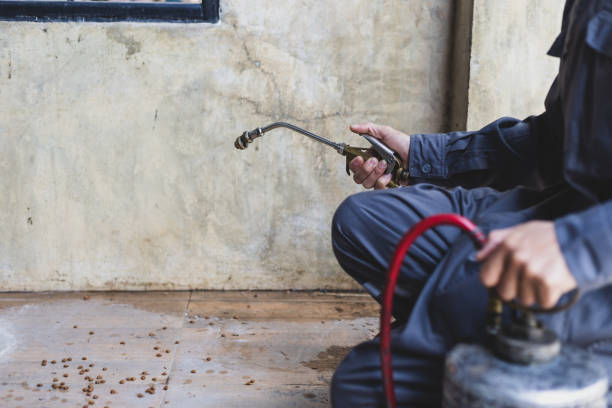 Best Residential Pest Control  in Dora, AL